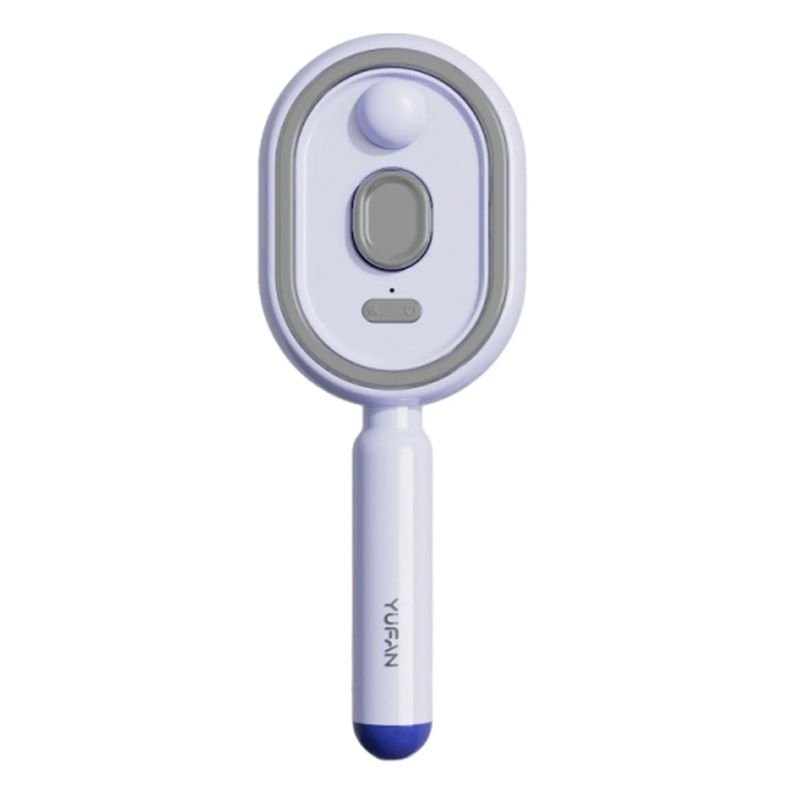 Wet Electrics Hairbrush with Water Spray Rechargeable Steams Hair Straightener USB-C Charging Anti-Static Red Light Hair Brush