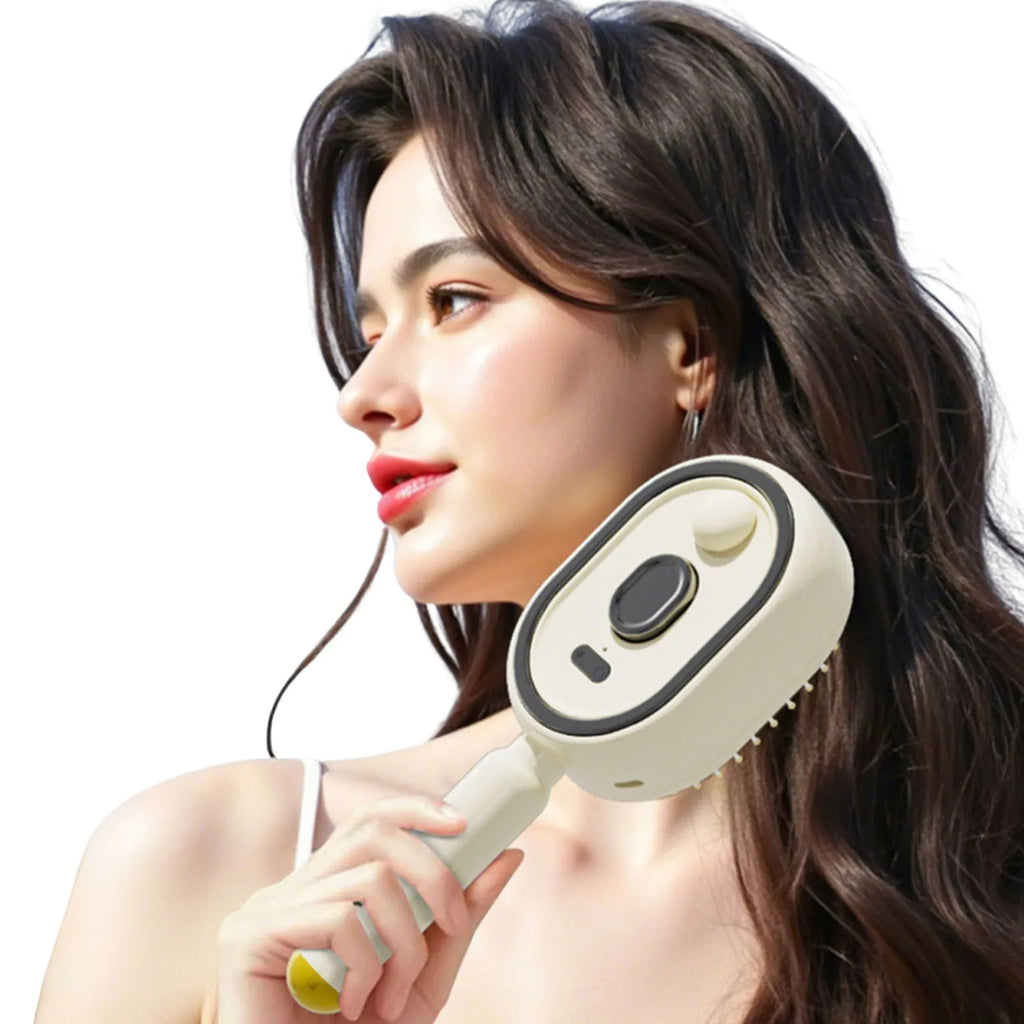 Wet Electrics Hairbrush with Water Spray Rechargeable Steams Hair Straightener USB-C Charging Anti-Static Red Light Hair Brush