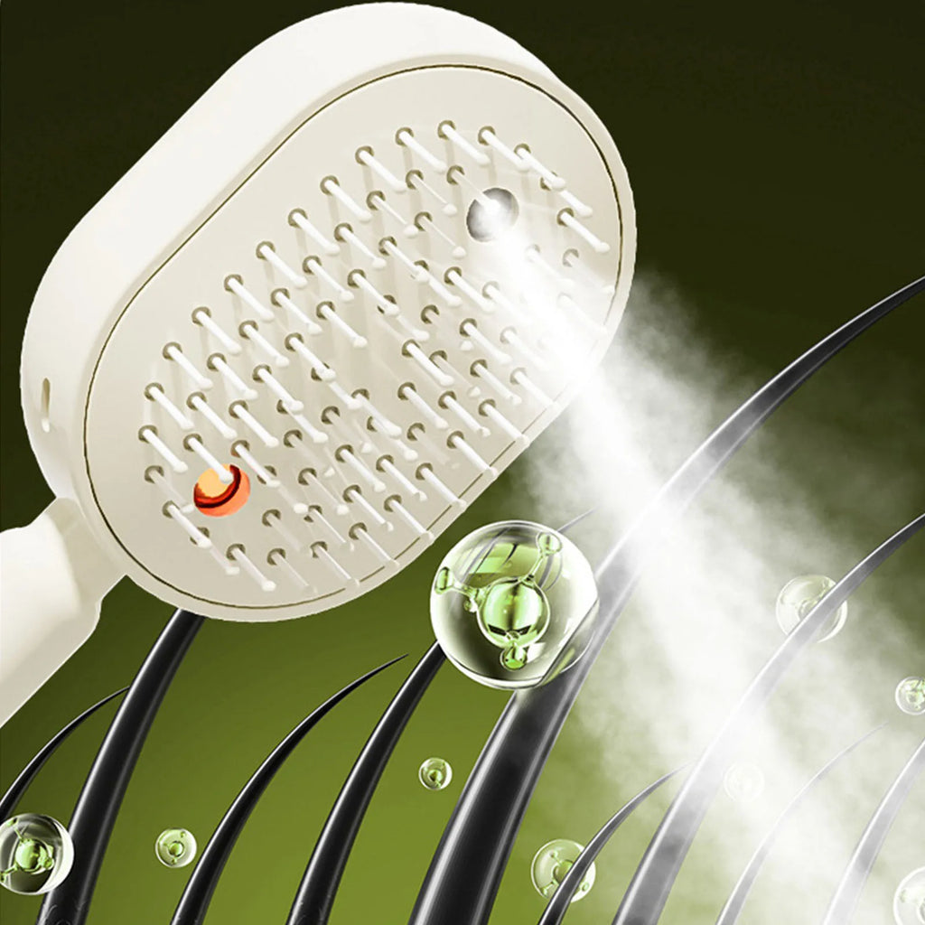 Wet Electrics Hairbrush with Water Spray Rechargeable Steams Hair Straightener USB-C Charging Anti-Static Red Light Hair Brush