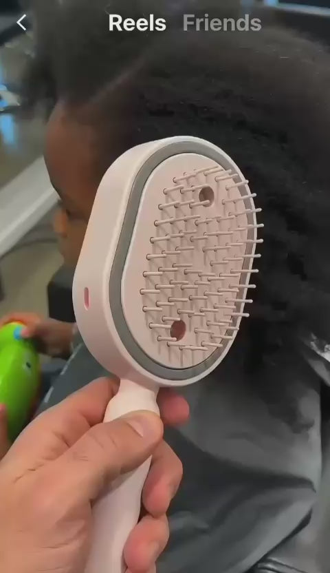 Wet Electrics Hairbrush with Water Spray Rechargeable Steams Hair Straightener USB-C Charging Anti-Static Red Light Hair Brush
